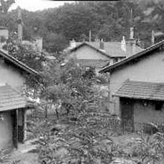 Cité du Taillis, Roche-la-Molière